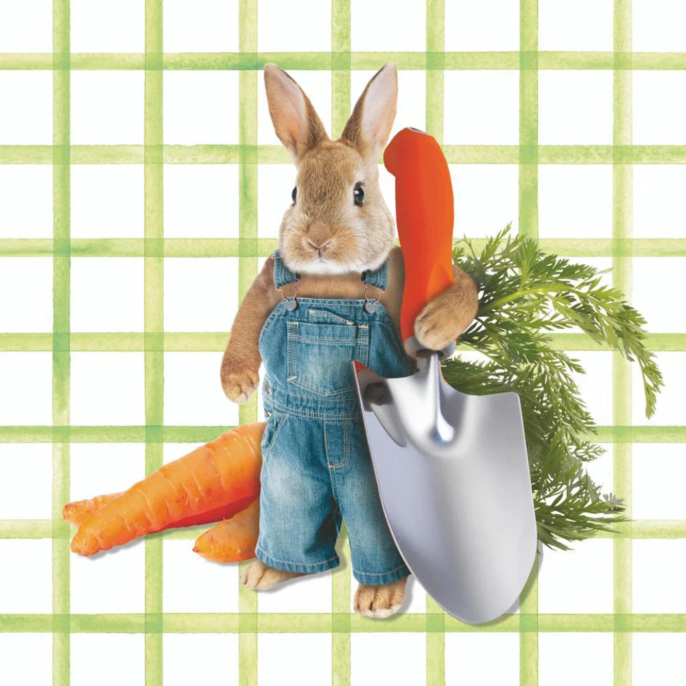 PPD Pete's Garden Lunch Napkins