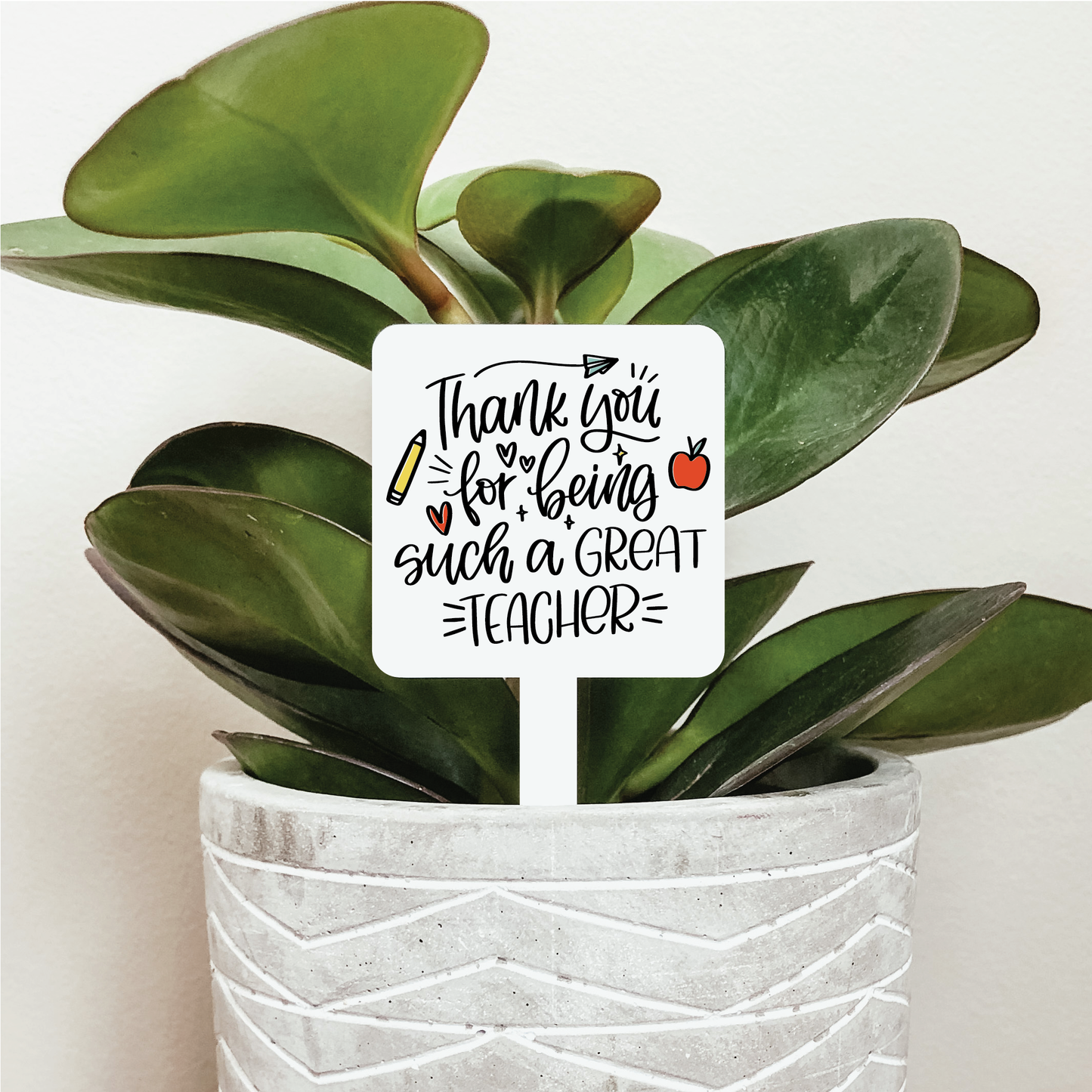 Thank You Teacher Plant Marker