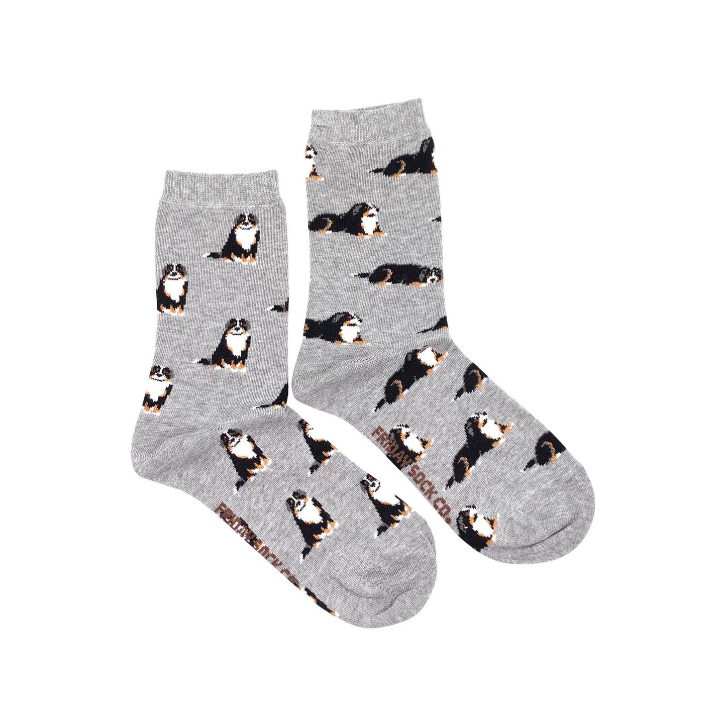 Friday Sock Co. Bernese Mountain Women Socks