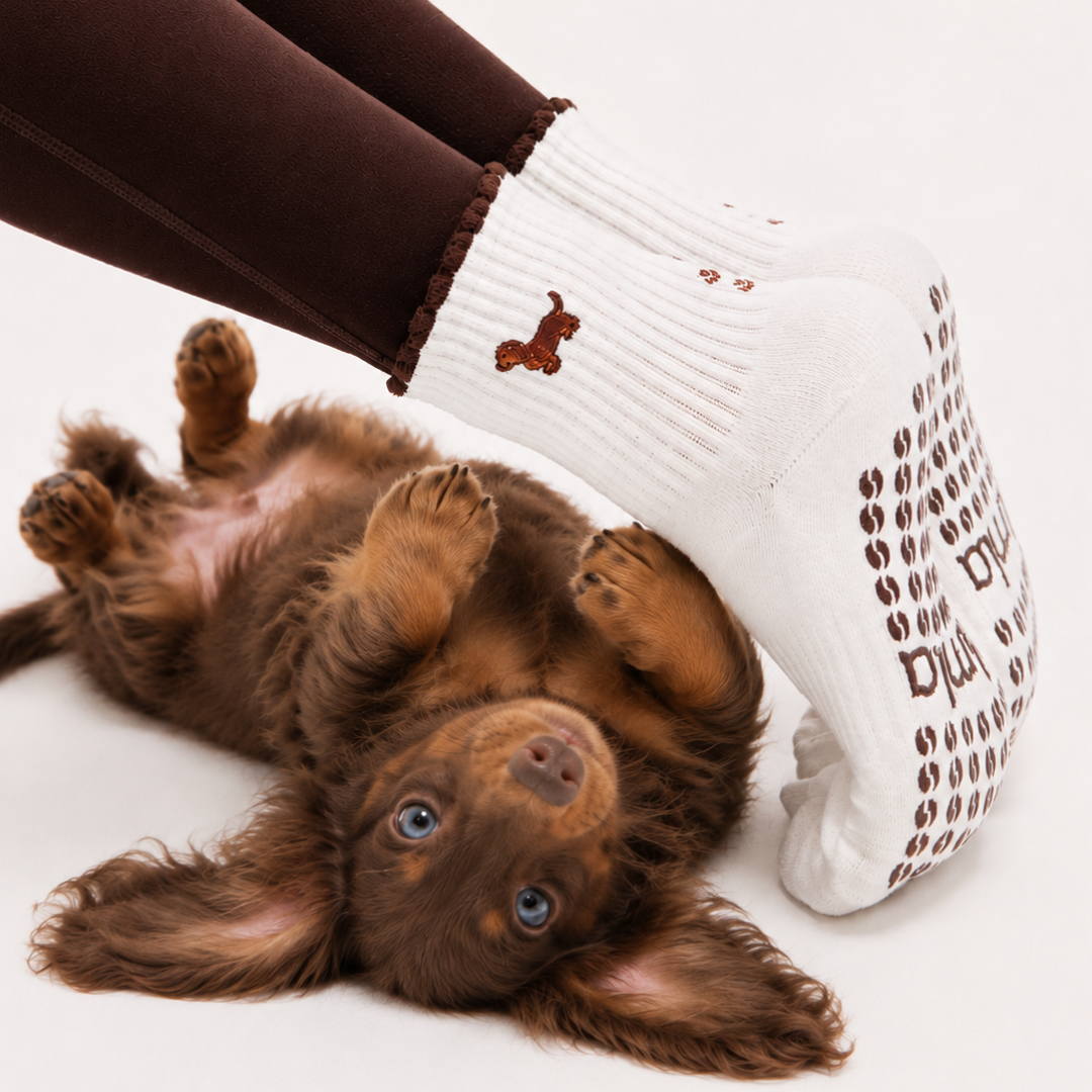 Dachshund & Espresso Martini Double Sided Pilates Grip Sock: One Size