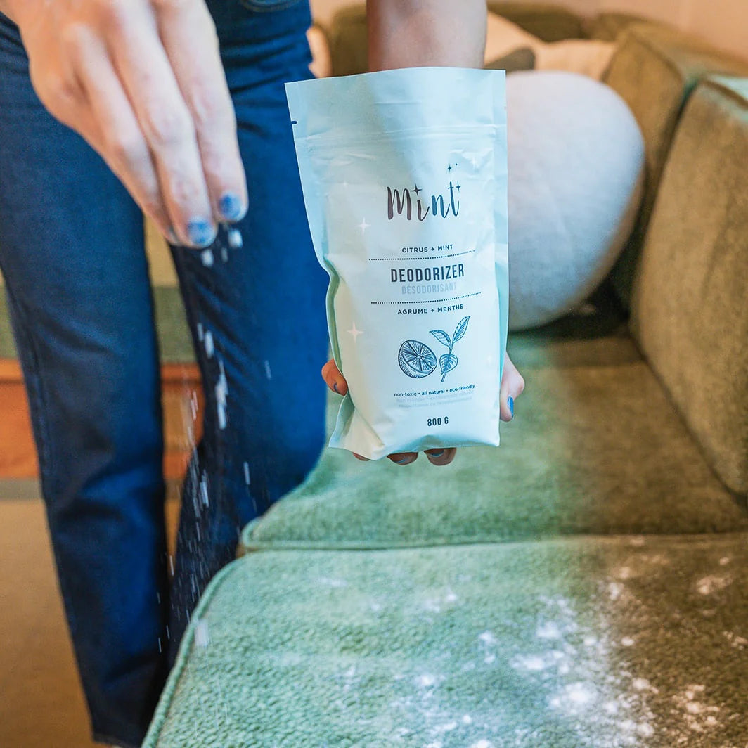 Mint Cleaning Deodorizer
