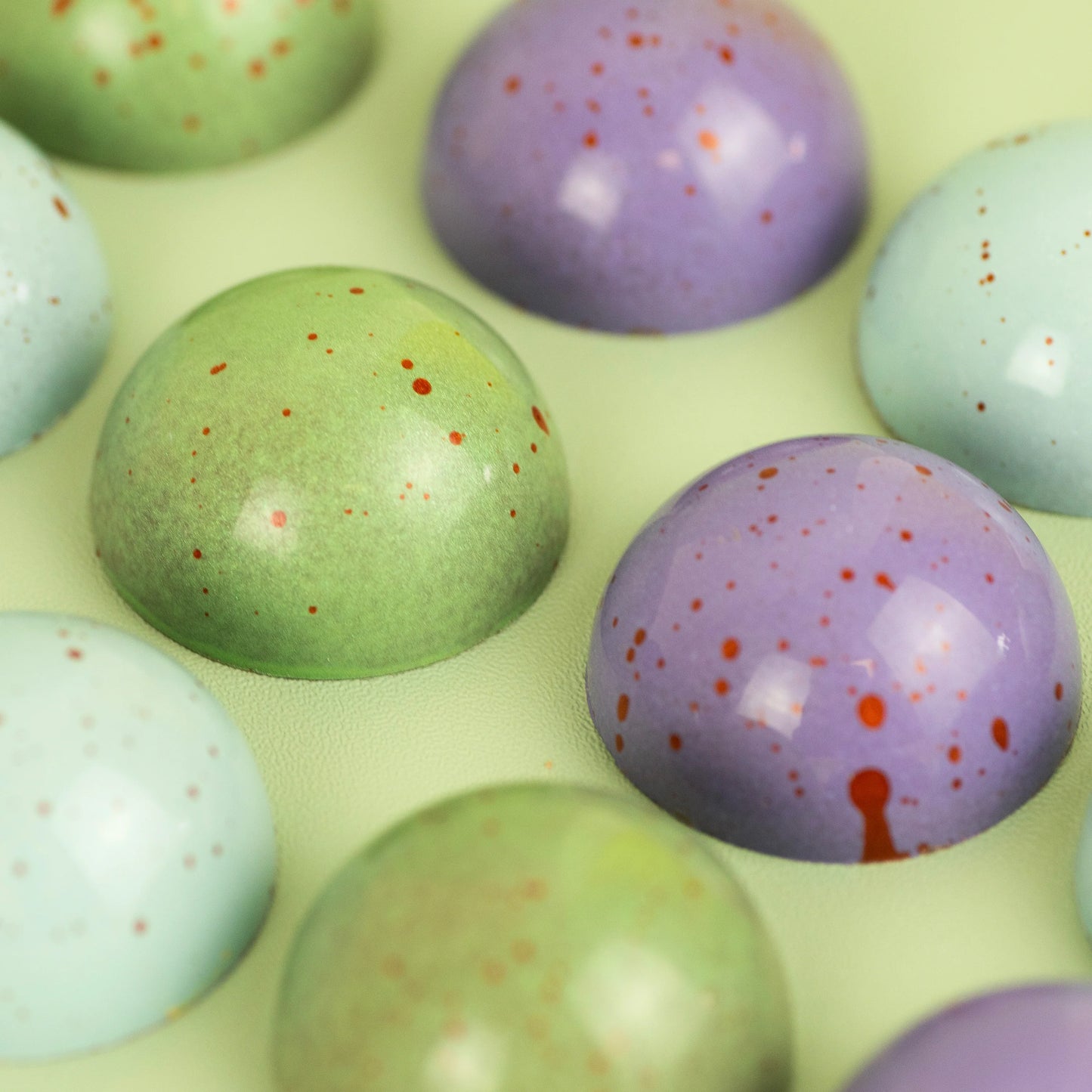 Jacek Robin Egg Collection