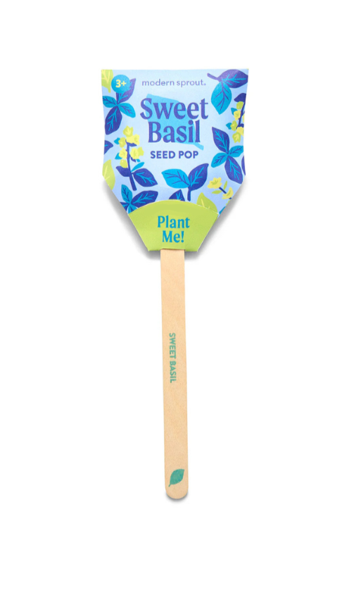 Modern Sprout Sweet Basil Seed Pop