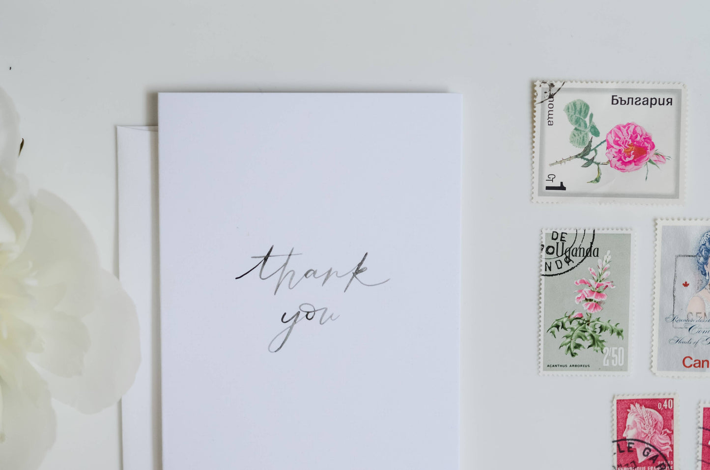 Thank You | Handlettered Watercolour Thank You Card: Single Card