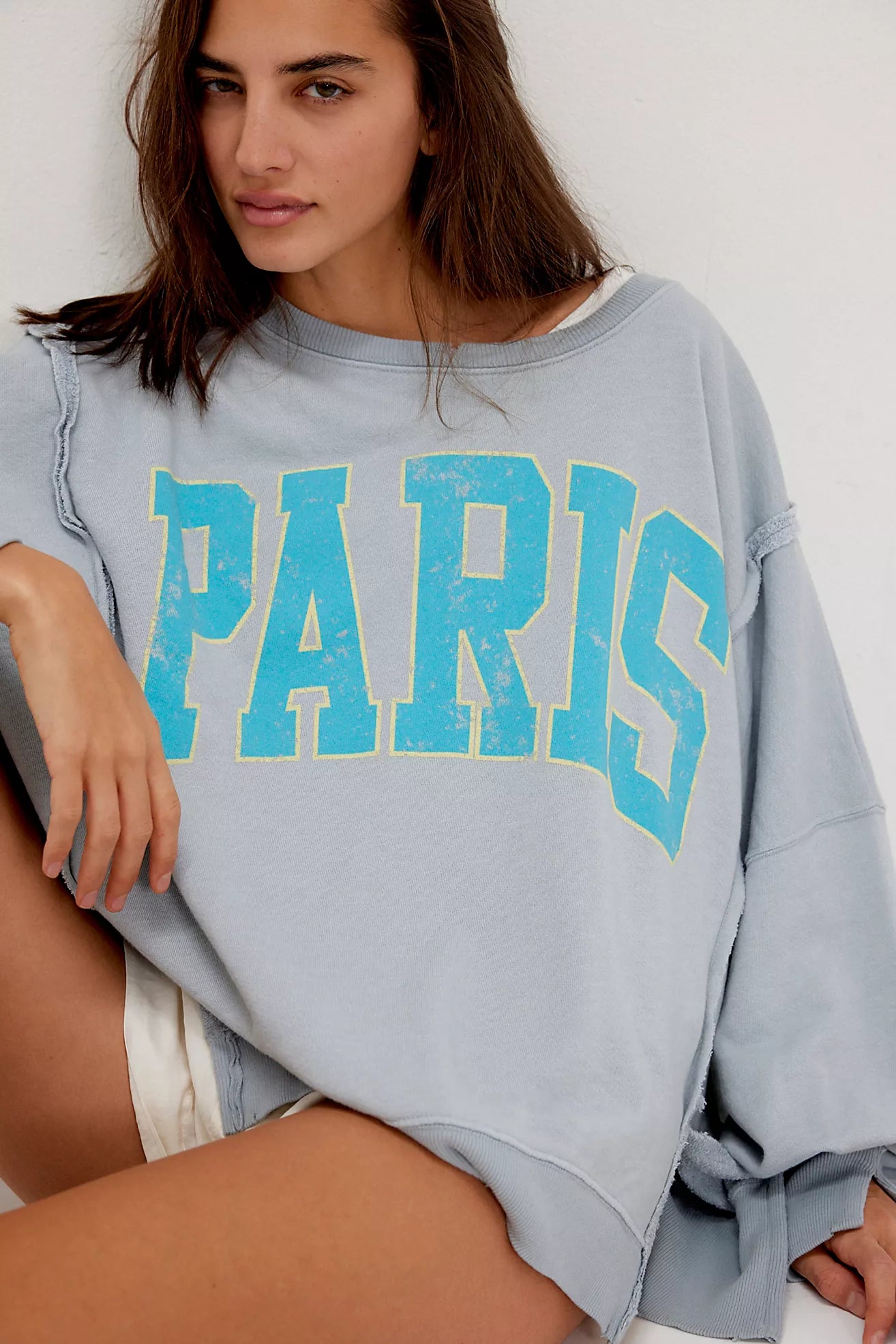 Free People Graphic Camden Pullover Paris