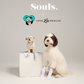 Souls. x Love Leo Dog Mom Grip Socks