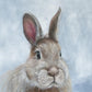 Niblet The Bunny Beverage Napkins