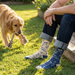 Men's Dogs This Did Good Socks