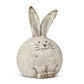 Small Round Rabbit