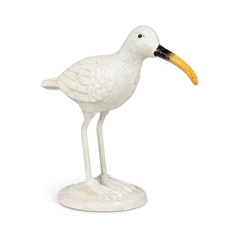 Shore Bird With Long Beak