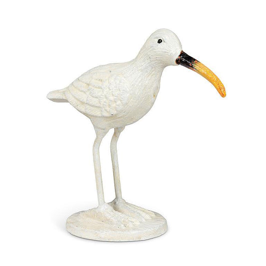 Shore Bird With Long Beak