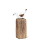 Small Sea Bird On Post