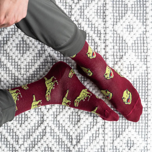 Friday Sock Co. Dino Socks