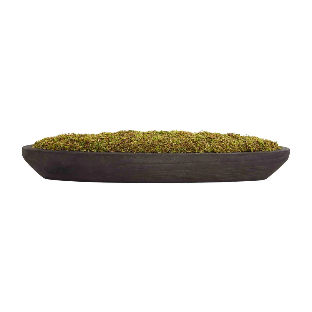 Mudpie Preserved Moss Black Tray