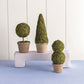 Mudpie Moss Covered Topiary
