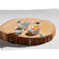 Mudpie Lake Tidbit Toothpick Set