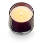 Illume Midnight Pumpkin Baltic Glass