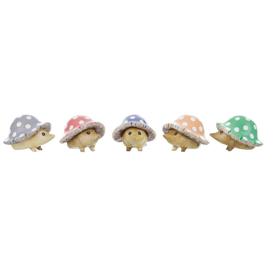 DCUK Hedgies