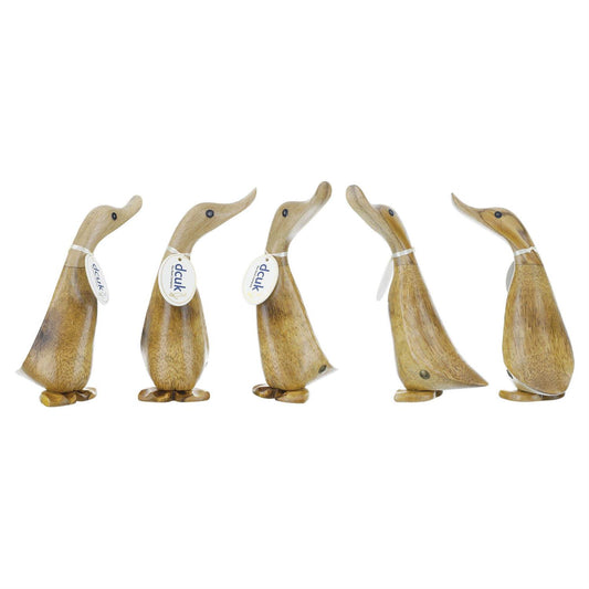 DCUK Natural Ducklings