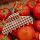 BROWN GINGHAM TOMATO CHARM CLAW: MIDI
