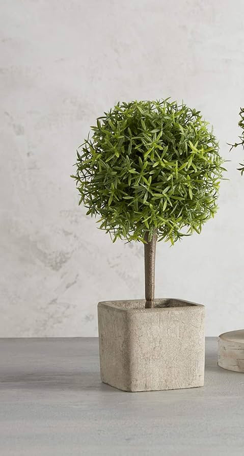 Spiky Round Topiary Ball In Planter