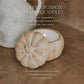 Pumpkin Spice Soy Candle - 8 oz Pumpkin Jar