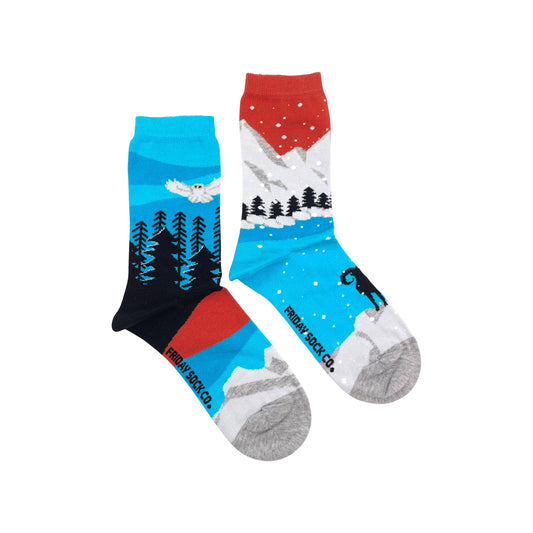 Friday Sock Co. Canadian Landscape Rockies