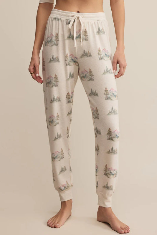 Z Supply Overnight Road Trip Jogger