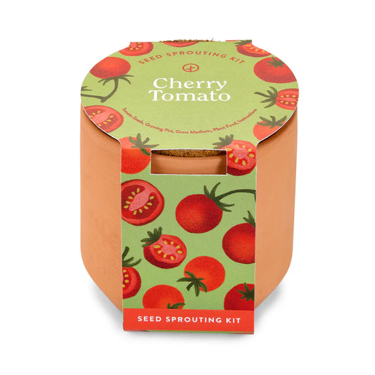 Modern Sprout Cherry Tomato Tiny Terracotta Kit