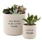 Ceramic Planting Pots - Set Of 2