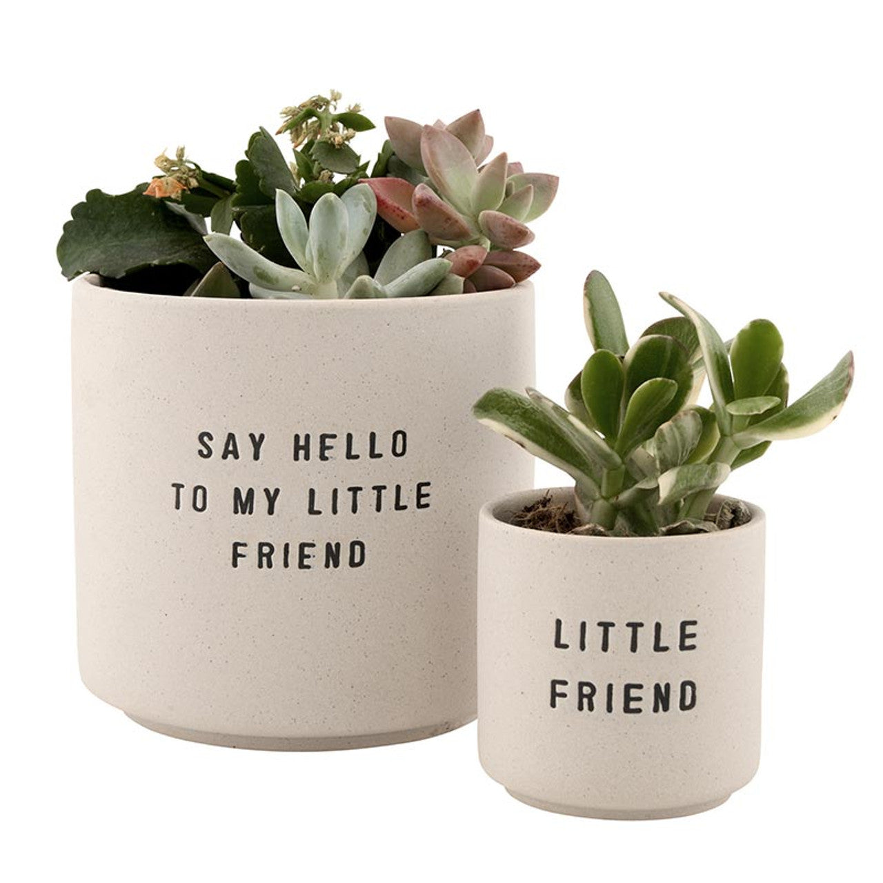 Ceramic Planting Pots - Set Of 2