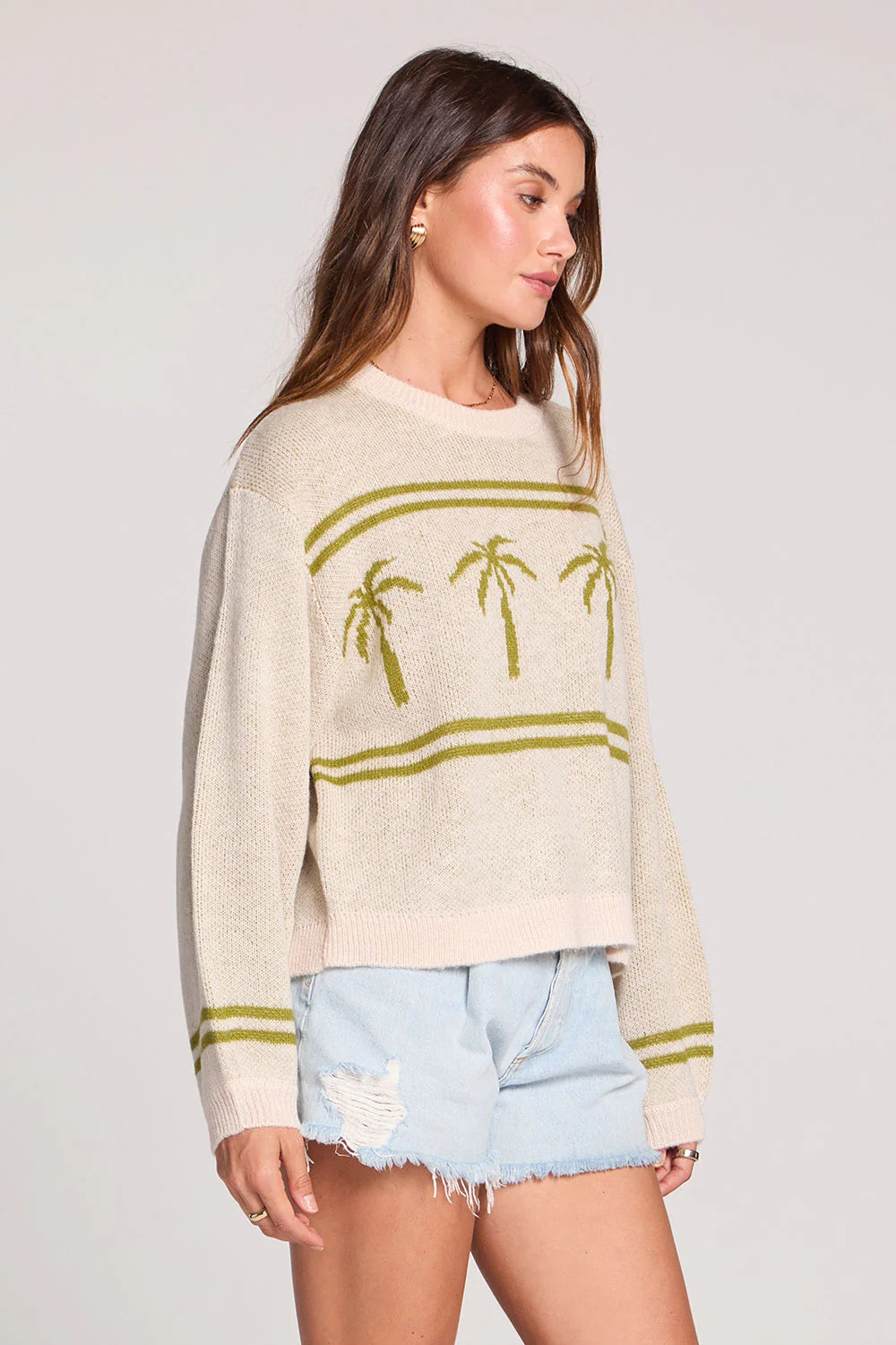 Saltwater Luxe Alderon Oatmeal Heather Sweater