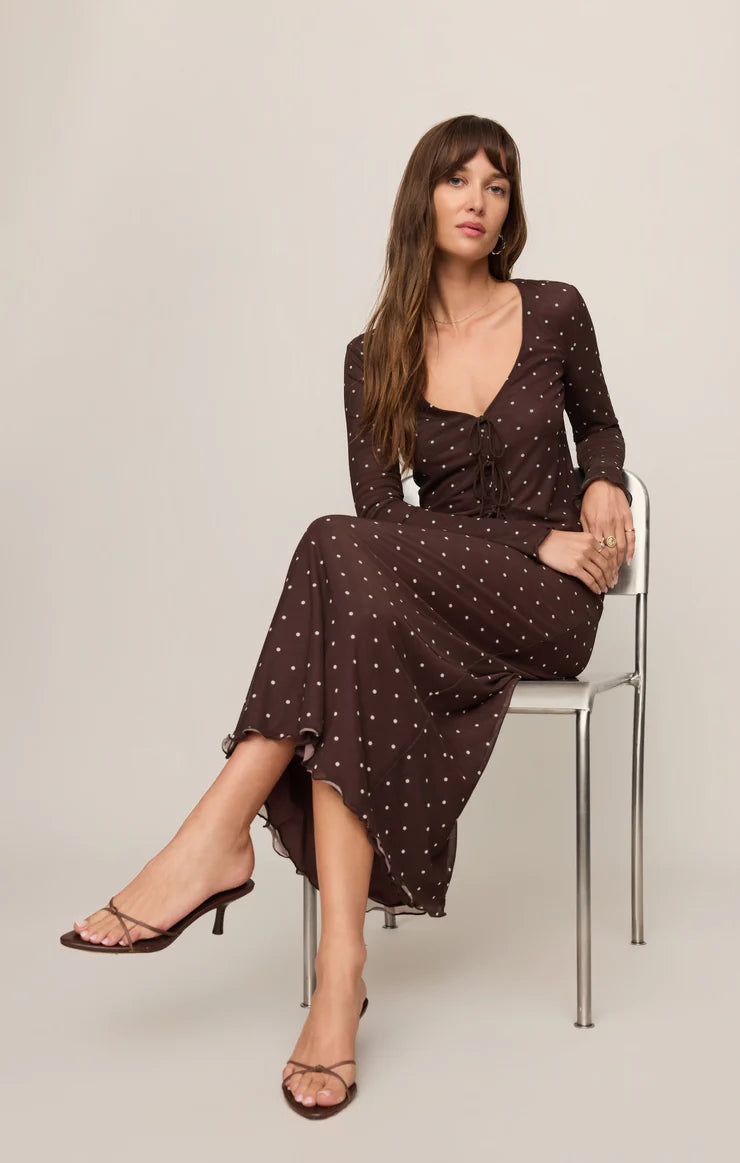 Z Supply Eda Polka Dot Mesh Midi Skirt