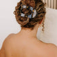 Round Flat Hair Clip | Large | Tortoise