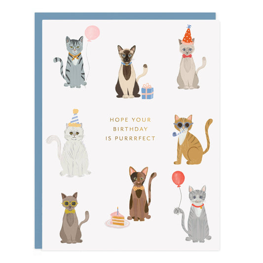 Party Cats Birthday Greeting Card