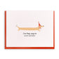 Wag On, Letterpress Birthday Dog Card