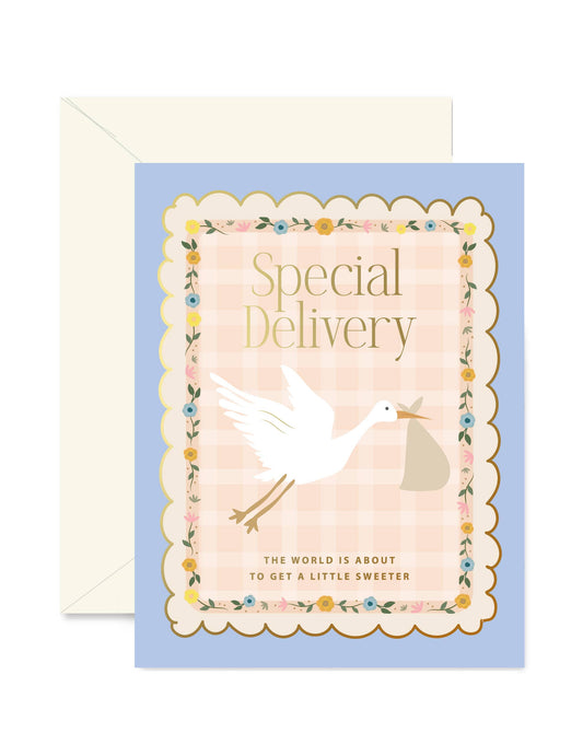 Stork Special Delivery Greeting Card