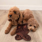 The Golden Doodle Pilates Grippy Sock with Paw Grips