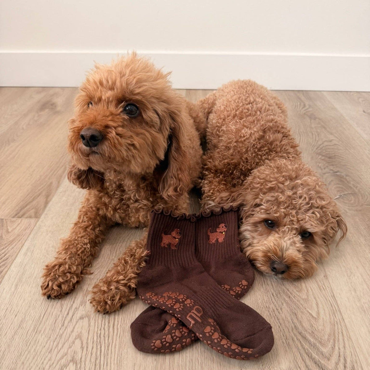 The Golden Doodle Pilates Grippy Sock with Paw Grips
