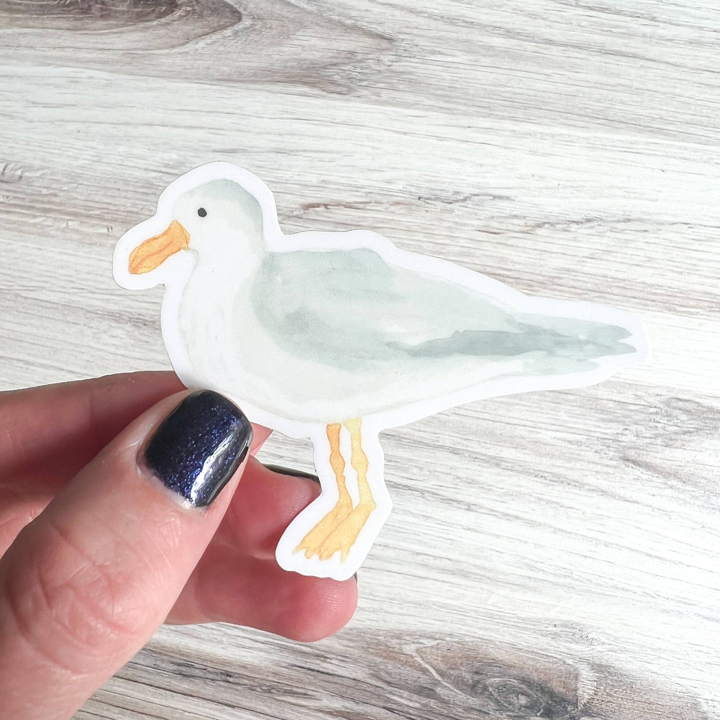Watercolor Seagull Sticker | Coastal Sticker | 2.5" x 3"