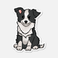 Dash, The Border Collie - Dog Sticker