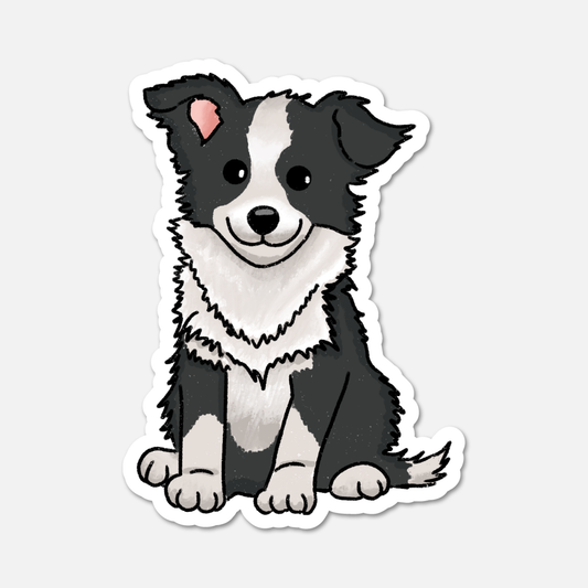 Dash, The Border Collie - Dog Sticker