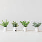 Faux Plant In Stoneware Pot