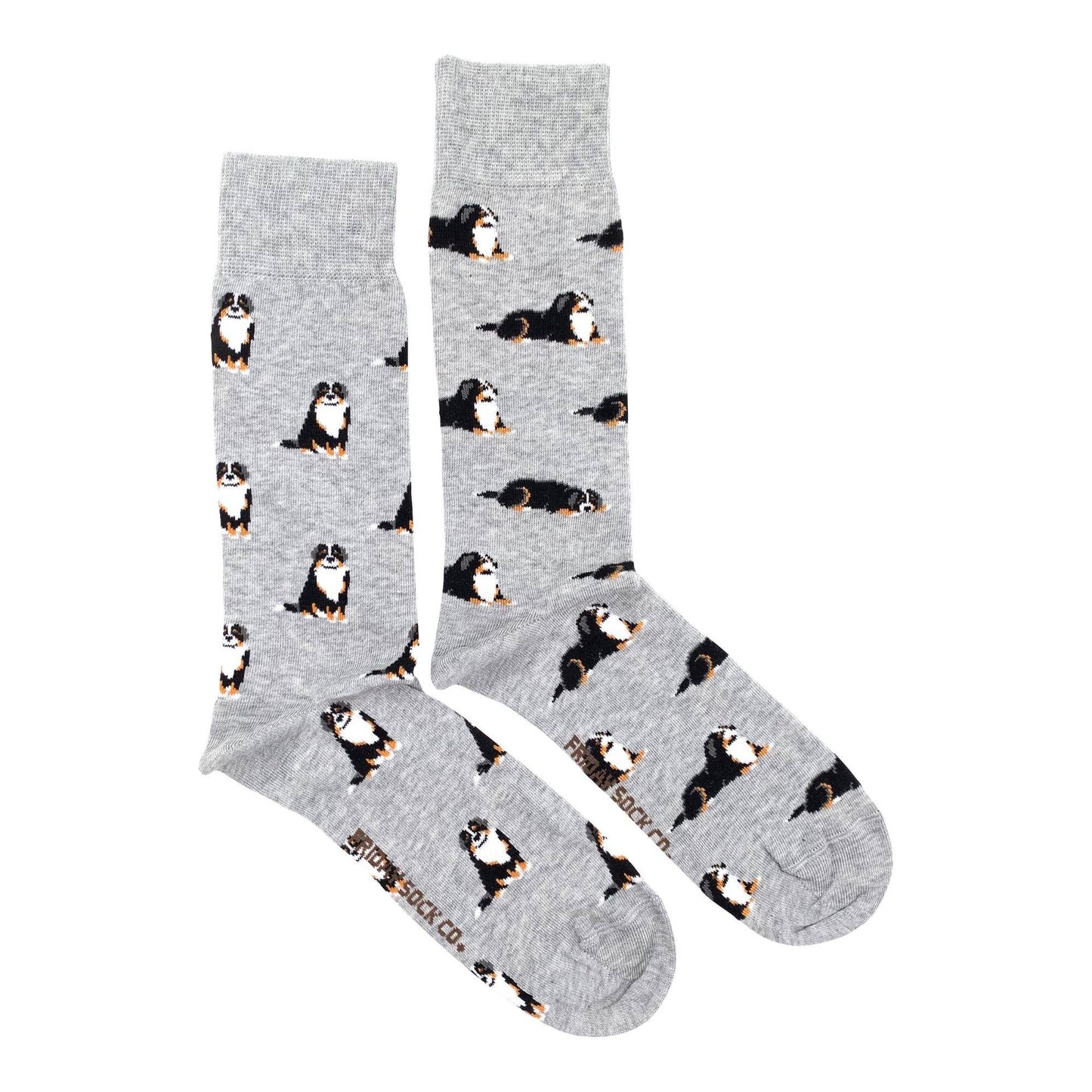 Friday Sock Co. Bernese Mountain Dog Mens Socks