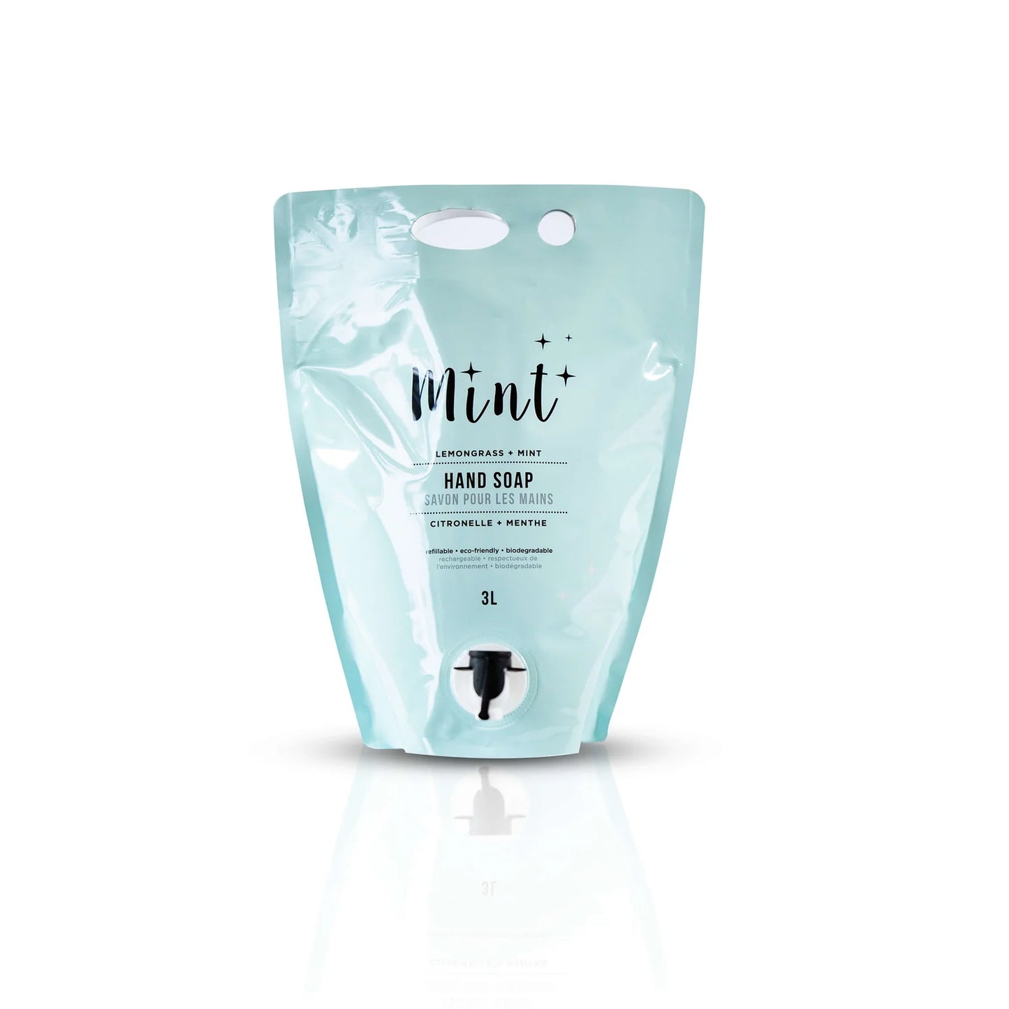 Mint Hand Soap Party Pouch